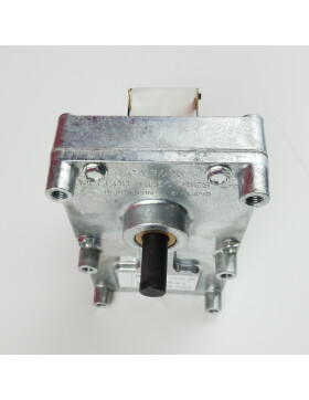 Getriebemotor Schneckenmotor 1,5 RPM für Caminetti Montegrappa