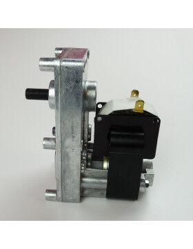 Getriebemotor Schneckenmotor 1,5 RPM für Caminetti Montegrappe