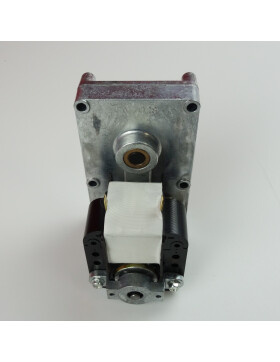 Getriebemotor Schneckenmotor 1,5 RPM für Caminetti Montegrappe