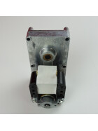 Getriebemotor Schneckenmotor 1,5 RPM für Caminetti Montegrappa