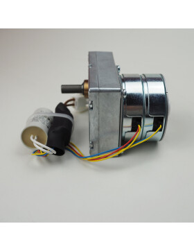 Schneckenmotor mit Kondensator für Rika Premio, Rio, Visio, Memo, Integra I und Integra II