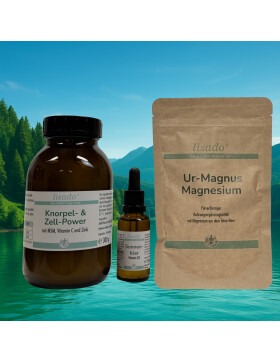 lisado Set: Stark von Innen